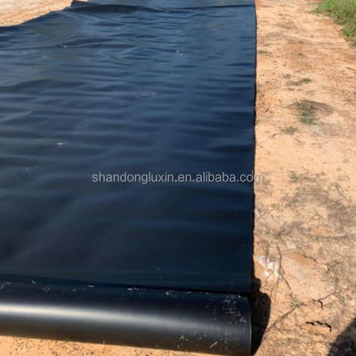 Double Smooth Surface Geomembrane 1mm 2mm for Environmentally Friendly Landfill Sites
