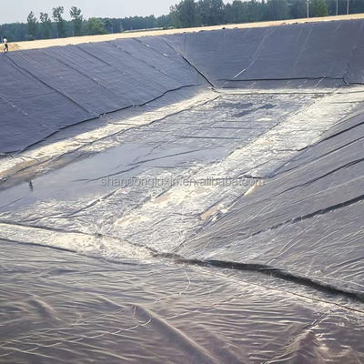 Acid and Alkali Resistant Geomembrane for Fish Ponds Black Color ASTM GRI-GM13 Standard