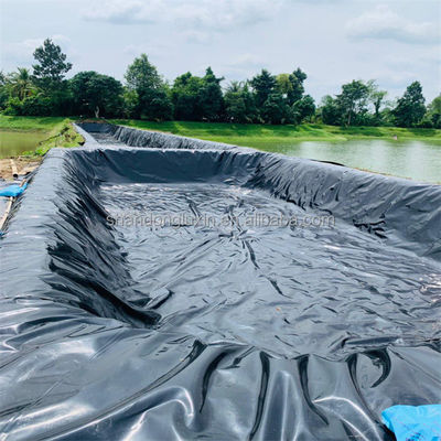 Customized Geomembrane for Fish Ponds and Civil Engineering 1mm-2mm Thickness Durable