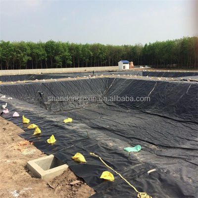 Customized Geomembrane for Fish Ponds and Civil Engineering 1mm-2mm Thickness Durable