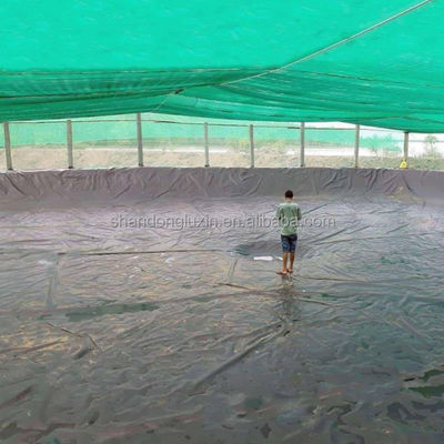 Modern Design Black HDPE Smooth Geomembrane 0.5mm 1mm for Landfill Sites and Fish Ponds
