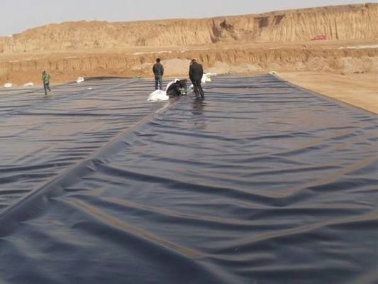 Prefabricated HDPE Geomembrane for Waterproof Lining in Swimming Pools and Landscape Pools