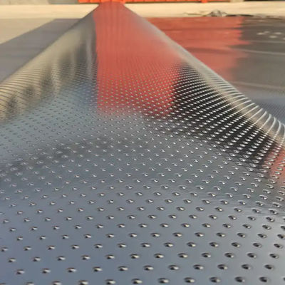Double-Sided Column Point Geomembrane for Slope Protection and 0.3mm-2.8mm Thickness
