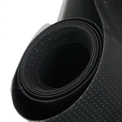 Double-Sided Column Point Geomembrane for Slope Protection and 0.3mm-2.8mm Thickness