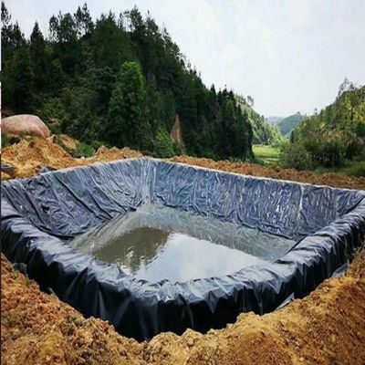 Prefabricated Geomembrane for Outdoor Slope Anti-Leakage 1mm 2mm Standard ASTM GRI-GM13