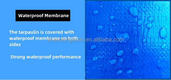 240g Pe Waterproof Tarpaulin Tent Blue Hdpe Tarpaulin In Density 6*6-16*16 Waterproof