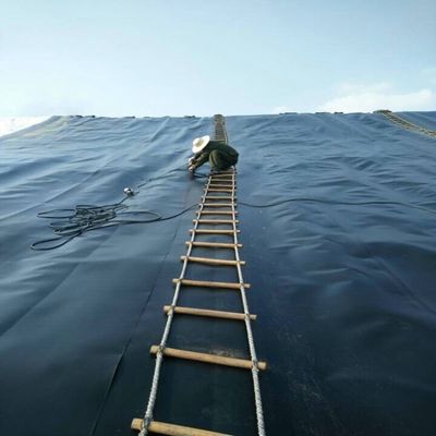 Direct Selling HDPE Geomembrane 1mm 2mm Thickness High Friction Coefficient for Slope