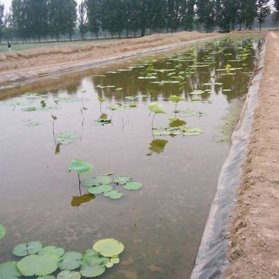 1-6m Width Black Prefabricated Geomembrane Liner for Landfill Site Bottom in Width