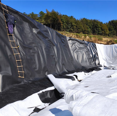 Smooth Geomembrane Bottom Liner for Fish Ponds Embankment Ramps Return and Replacement