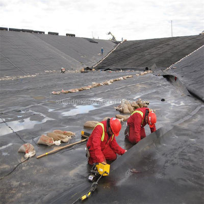 0.75mm HDPE Pond Liners and 1.0mm Fish Tank Geomembrane for Shrimp Farming Efficiency