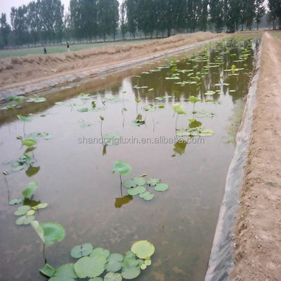 0.75mm HDPE Pond Liners and 1.0mm Fish Tank Geomembrane for Shrimp Farming Efficiency