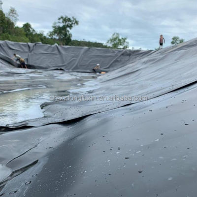 Project Solutions Prefabricated Pond Liner Roughened Geomembrane 1.50mm 2mm Geotextile