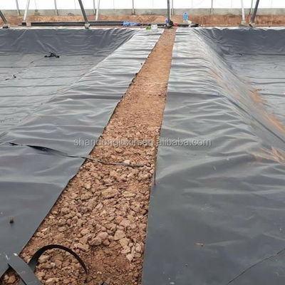 Smooth Geomembrane Roughened Geomembrane Composite Geomembrane 1mm 2mm for Outdoor Ponds