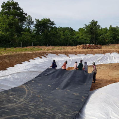 1m-8m Width HDPE Geomembrane for Landfill Artificial Lake Tank Dam Fish Pond Farm Liner