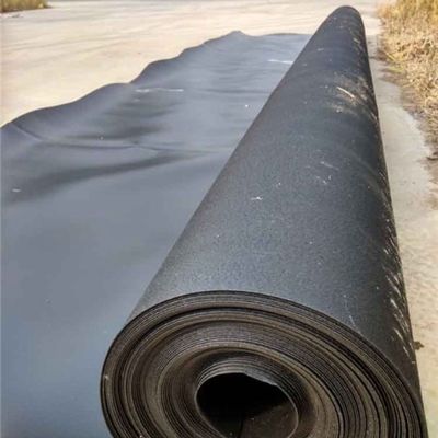 Directly Supplying HDPE Geomembrane Fish Pond Liner for Landfill Sites and Fish Ponds