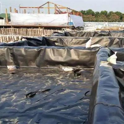 Fish Farming Ponds Pool Lagoon Aquiculture High Density Polyethylene Geomembrane 2mm