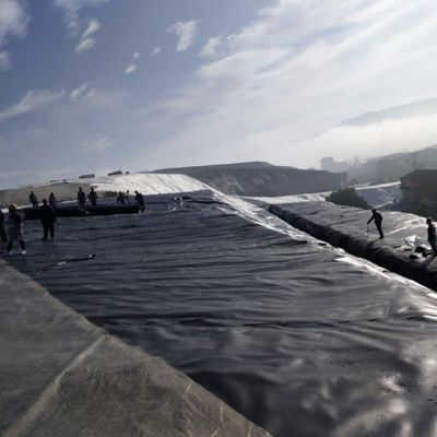 Swim Pool Fish Pond Waterproof Geomembrane 1mm 2mm for Artificial Lake Tank Dam Lining