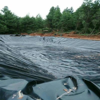 Ensure Leak-proof Water Storage Tanks with HDPE Geomembrane Double Smooth Surface