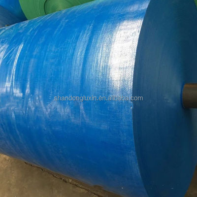 Polyethylene Tarpaulin in Customized Color Waterproof Sunlight Blocking and Dustproof