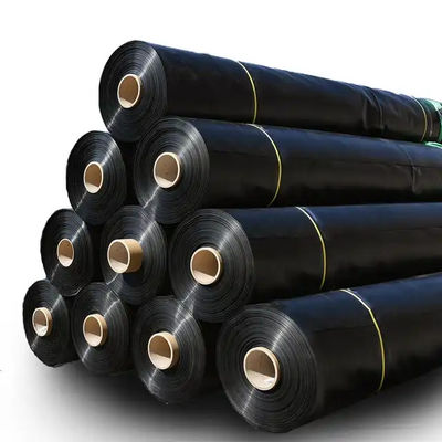 1-6m Width Geomembrane Fish Pond Liner with 1mm 2mm Thickness Double Smooth Surface