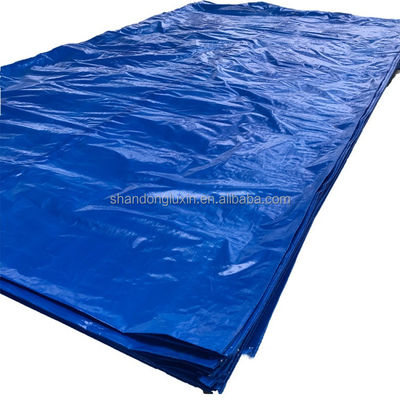 Customized Color PE Blue Waterproof Tarpaulin Fabric for Block Sunlight and Dustproof