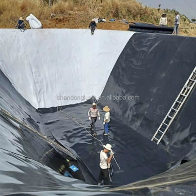 Project Solution Capability White HDPE Geomembrane 0.5mm 0.75mm 1mm for Fish Pond Liner