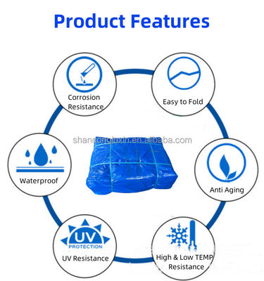 Customized Laminated PE Tarpaulin Plastic Fabric Sheet in Lightweight Stripe Style