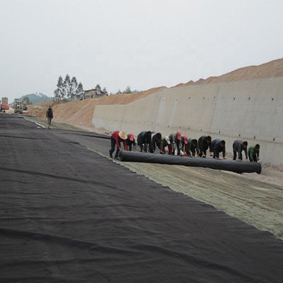 White 1mm 2mm HDPE Geomembrane for Water Dam Irrigation Water Tank Project Solution