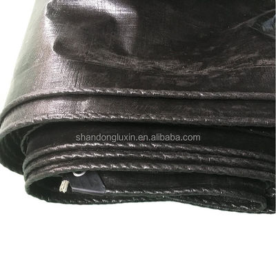 Coated Woven Pattern Polyethylene Tarpaulin for Moisture-proof and Dustproof