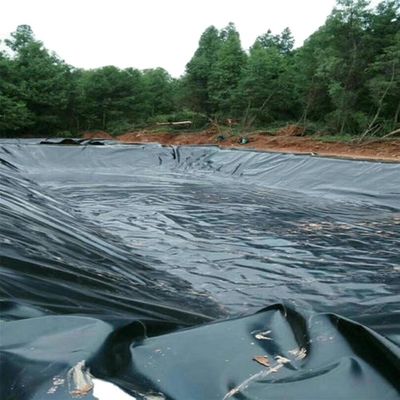 1mm HDPE Geomembrane Roll for Fish Farming 1m-8m Width Cross Categories Consolidation