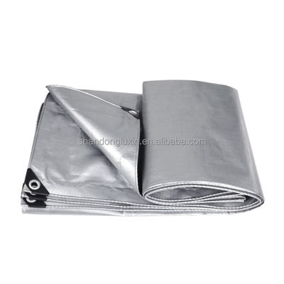 High Surface Hardness Silver Gray PE Tarpaulin for Sunlight Blocking and Dustproofing