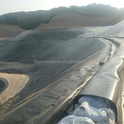Double Texture/Double Smooth HDPE Geomembrane Liner 0.4mm for Fish Farm Glossy Surface