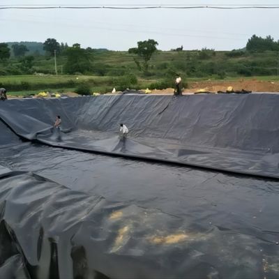 High Density Fish and Shrimp Pond Liner HDPE Geomembrane with Waterproof Function