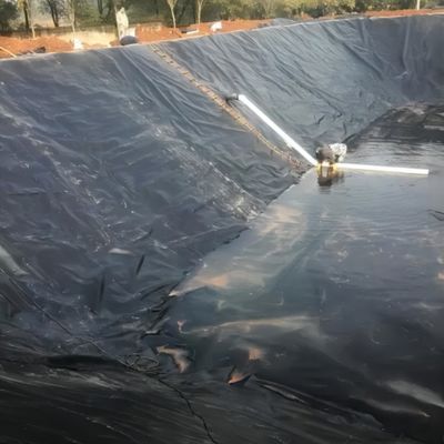 High Density Fish and Shrimp Pond Liner HDPE Geomembrane with Waterproof Function