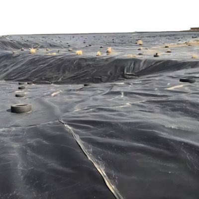 High Density Fish and Shrimp Pond Liner HDPE Geomembrane with Waterproof Function