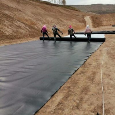 High Density Fish and Shrimp Pond Liner HDPE Geomembrane with Waterproof Function