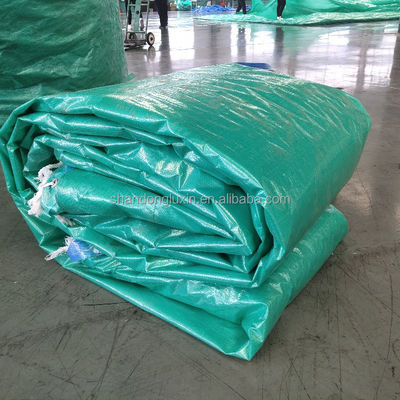 High Surface Hardness Thick PE Tarpaulin for Rainproof and Wear-Resistant Coverage