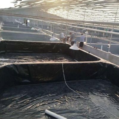 ISO9001 Standard HDPE Geomembrane Prevent Water and Leakage with Direct Sell