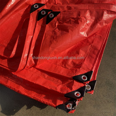PE Tarpaulin Tent Style Pls Contact for Moisture-proof and Dust-proof Protection