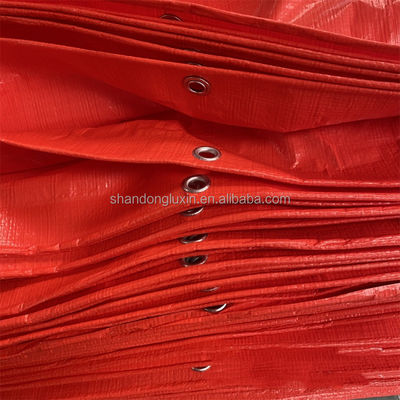 PE Tarpaulin Tent Style Pls Contact for Moisture-proof and Dust-proof Protection