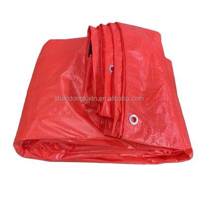 PE Tarpaulin Tent Style Pls Contact for Moisture-proof and Dust-proof Protection