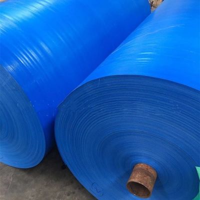 Polyethylene Tarpaulin Tent 500D Yarn Count for Rainproof Solutions and Durability