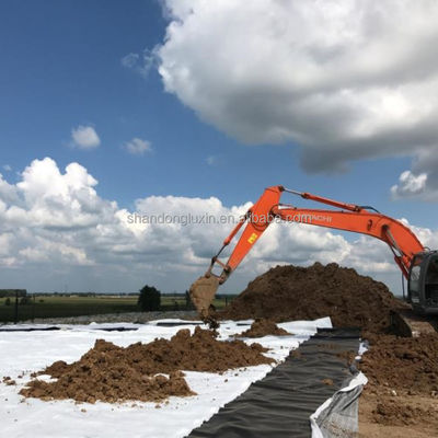 Double Smooth Surface HDPE Geomembrane Perfect for Landfills and Other Applications