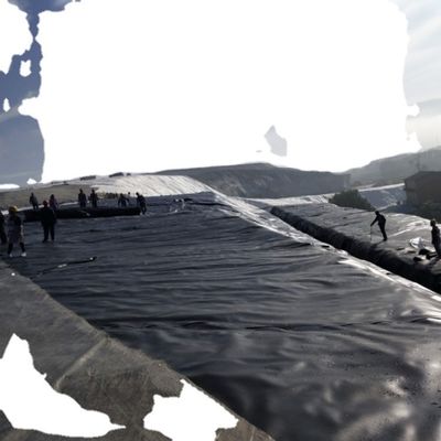 Graphic Design Capability Industrial Style HDPE Geomembrane Liner 1.0mm for Pond