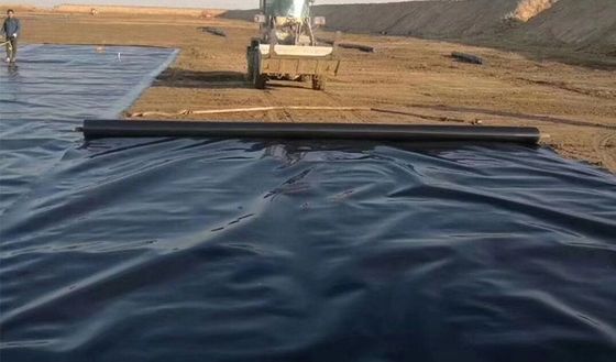 HDPE Geomembrane Fish Pond Liner 0.5mm 1mm 2mm for Modern Landfill Sites Design Style