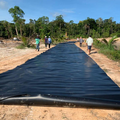 Glossy Geomembrane High Density Polyethylene UV Resistant HDPE Fish Pond Liner Solution