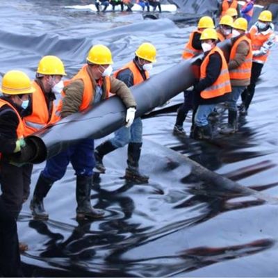 Double Smooth/Double Texture HDPE Geomembrane for Pond Tank and Pool Solutions Provider