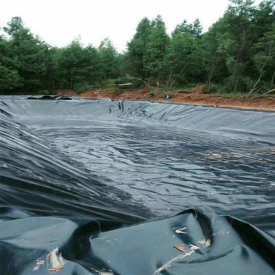0.1mm-2.5mm Thickness Fish Farm Pond Liner Hdpe Geomembrane for Industrial Applications