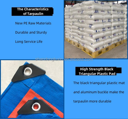 Advantageous Pe Tarpaulin Wide Applicability and Other Fabric for Truck Applications