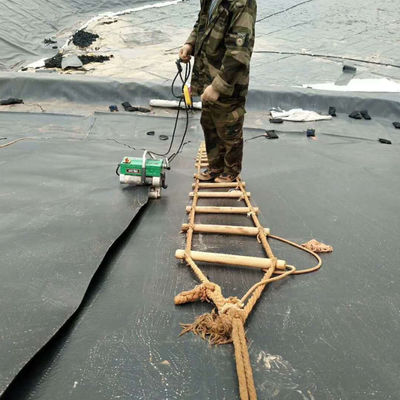 Customizable Black HDPE Geomembrane for 0.5mm Fish Ponds Farm Industrial Design Style